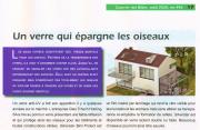Verres-Silverstar-Bird-Protect